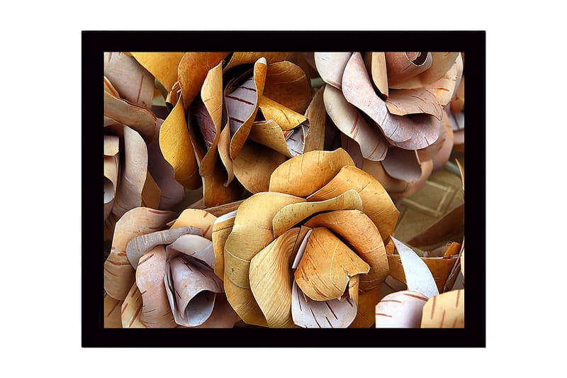 Innrammet lerret i tre - 41x56 cm - Tørkede roser i naturlige fargetoner - Lys brun / Beige / Hvit - Innredning - Bilder & kunst