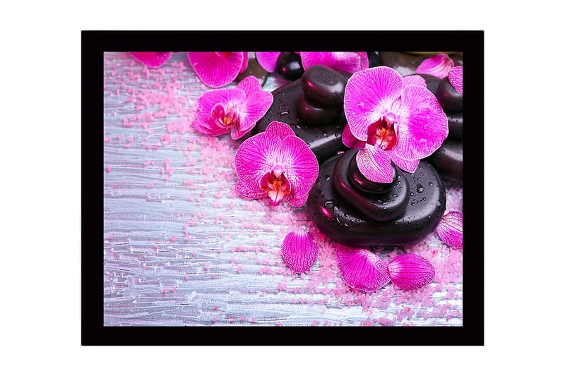 Innrammet lerret i tre - 41x56 cm - Vakker samling av orkideer og svarte steiner - Rosa / Svart / Lys grå - Innredning - Bilder & kunst