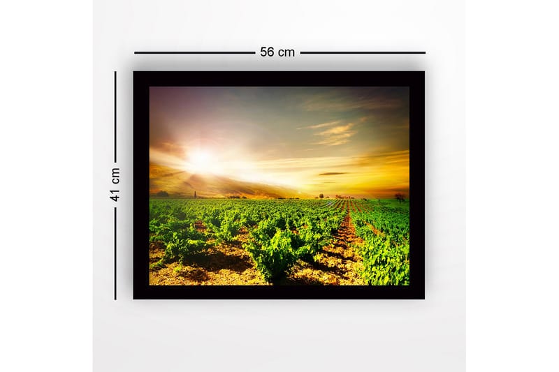 Innrammet lerret i tre - 41x56 cm - Vakker vingård under soloppgang - Grønn / Gul / Oransje - Innredning - Bilder & kunst