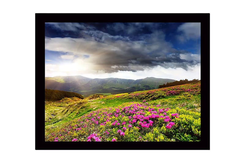 Innrammet lerret i tre - 41x56 cm - Vakkert fjellandskap med blomstrende enger, Grønn / Rosa / Blå