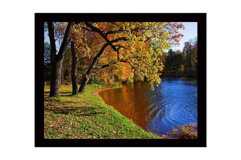 Innrammet lerret i tre - 41x56 cm - Vakkert høstlandskap med fargerike trær og speilblanke vannflater - Gull / Grønn / Blå - Innredning - Bilder & kunst
