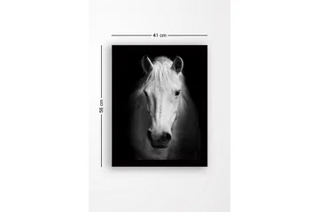 Innrammet lerret i tre - 41x56 cm - Portrett av en hvit hest med sterke kontraster - Hvit / Svart - Innredning - Bilder & kunst