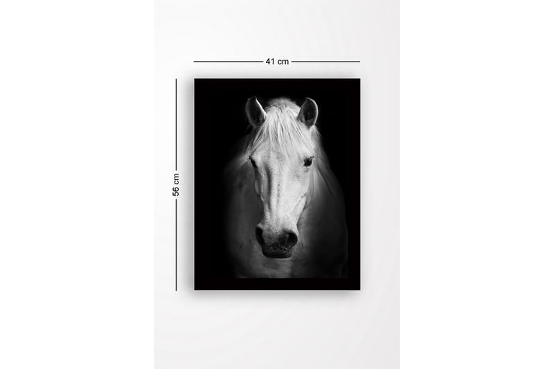 Innrammet lerret i tre - 41x56 cm - Portrett av en hvit hest med sterke kontraster - Hvit / Svart - Innredning - Bilder & kunst
