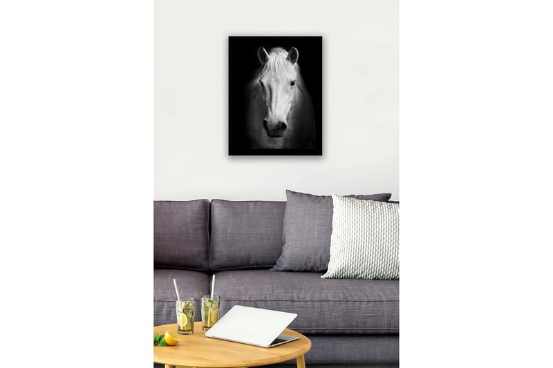 Innrammet lerret i tre - 41x56 cm - Portrett av en hvit hest med sterke kontraster - Hvit / Svart - Innredning - Bilder & kunst