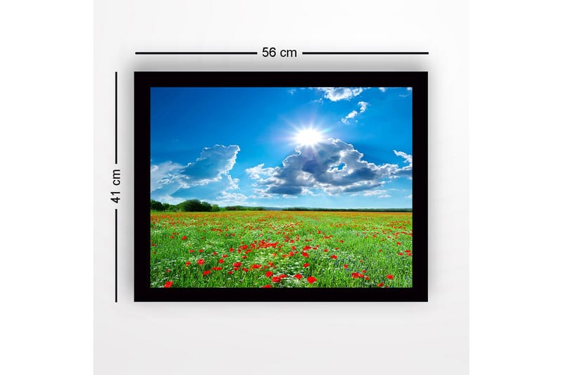 Innrammet lerretsbilde i tre - 41x56 cm - Blomstrende eng med røde valmuer og hvite blomster under en klar blå himmel - Grønn / Rød / Hvit - Innredning - Bilder & kunst