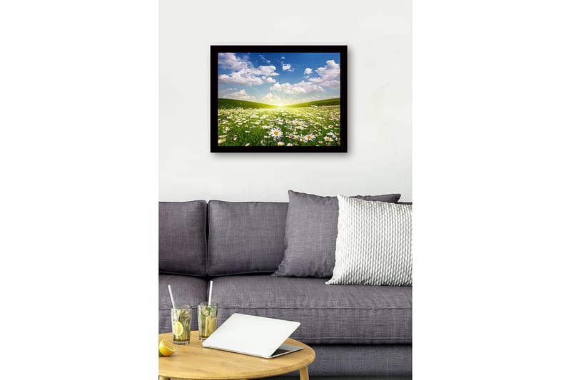 Innrammet lerretsbilde i tre - 41x56 cm - Blomstrende eng med tusenfryd under en klar himmel - Grønn / Hvit / Blå - Innredning - Bilder & kunst