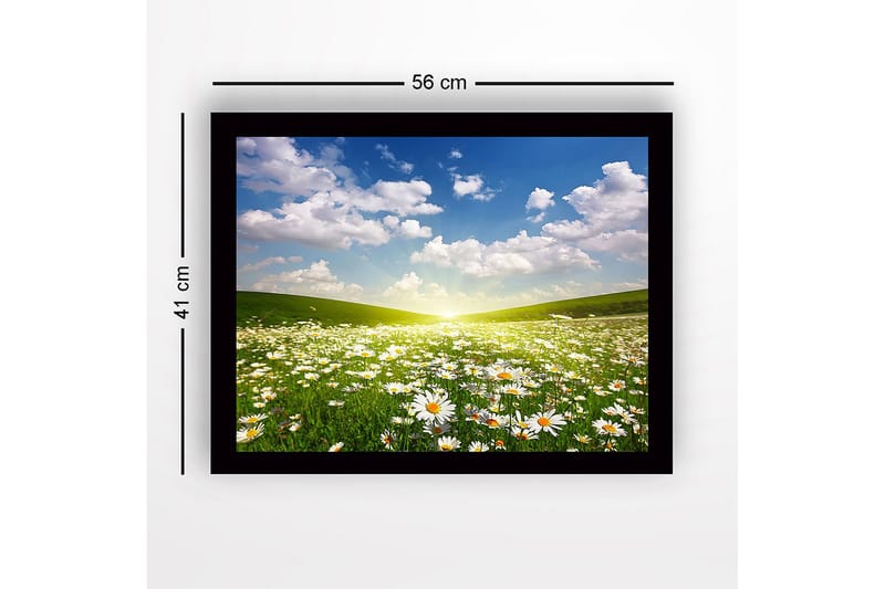 Innrammet lerretsbilde i tre - 41x56 cm - Blomstrende eng med tusenfryd under en klar himmel - Grønn / Hvit / Blå - Innredning - Bilder & kunst