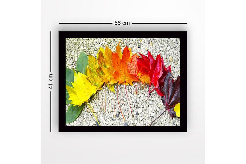 Innrammet lerretsbilde i tre - 41x56 cm - Fargefull rekke med høstblader i forskjellige nyanser - Gul / Oransje / Rød - Innredning - Bilder & kunst