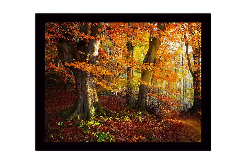 Innrammet lerretsbilde i tre - 41x56 cm - Fargerik høstskog med gyllent og oransje løvverk - Oransje / Gul / Grønn - Innredning - Bilder & kunst