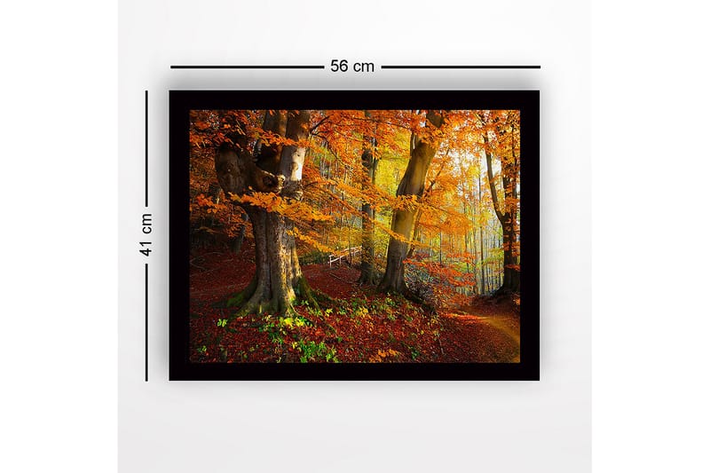 Innrammet lerretsbilde i tre - 41x56 cm - Fargerik høstskog med gyllent og oransje løvverk - Oransje / Gul / Grønn - Innredning - Bilder & kunst