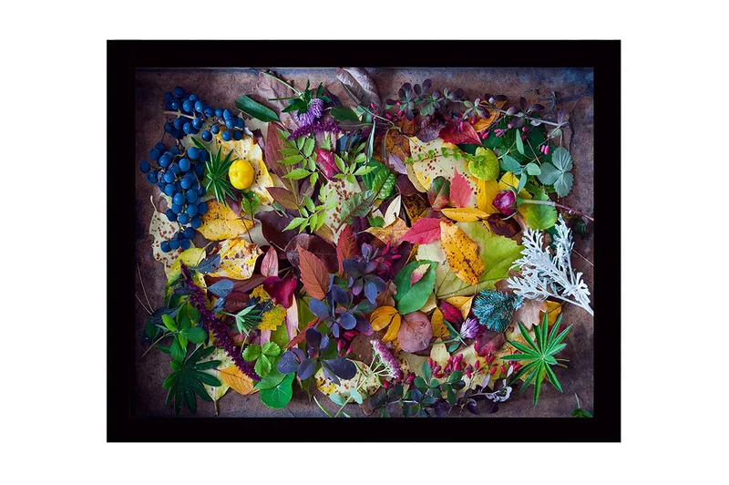 Innrammet lerretsbilde i tre - 41x56 cm - Fargerik samling av høstblader og bær, Grønn / Rød / Gul