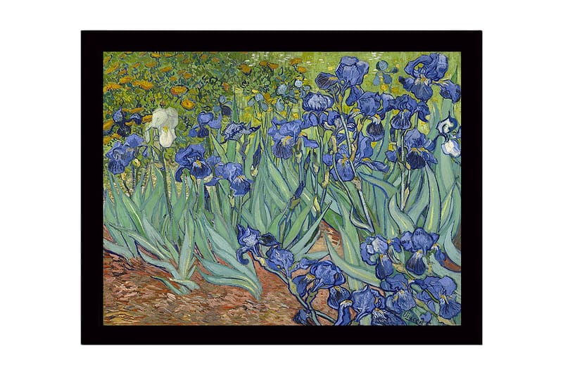 Innrammet lerretsbilde i tre - 41x56 cm - Fargerik samling av irisblomster - Blå / Grønn / Brun - Innredning - Bilder & kunst