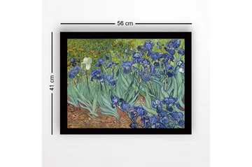 Innrammet lerretsbilde i tre - 41x56 cm - Fargerik samling av irisblomster - Blå / Grønn / Brun - Innredning - Bilder & kunst