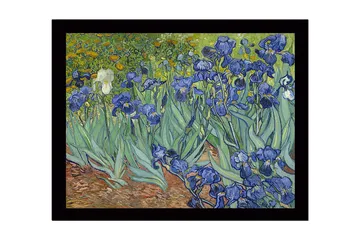 Innrammet lerretsbilde i tre - 41x56 cm - Fargerik samling av irisblomster - Blå / Grønn / Brun - Innredning - Bilder & kunst