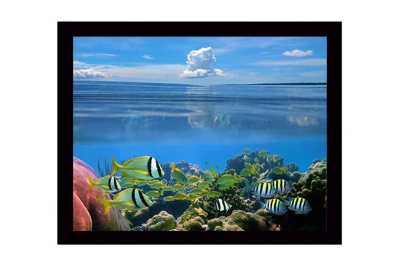 Innrammet lerretsbilde i tre - 41x56 cm - Fargerik undervannsscene med svømmende fisk og korallrev, Blå / Grønn / Gul