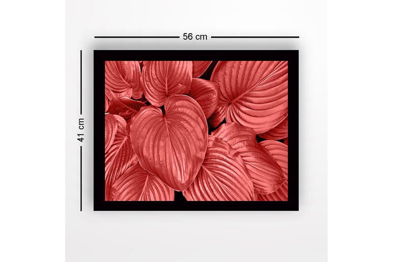 Innrammet lerretsbilde i tre - 41x56 cm - Fargerike blader i forskjellige røde nyanser - Rød / Svart - Innredning - Bilder & kunst