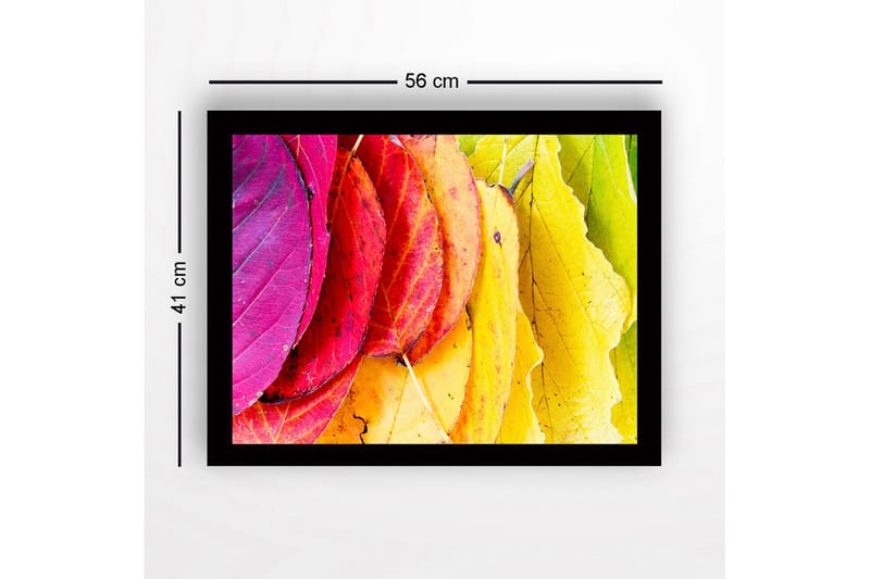 Innrammet lerretsbilde i tre - 41x56 cm - Fargerike høstblader i forskjellige nyanser - Rosa / Rød / Gul - Innredning - Bilder & kunst