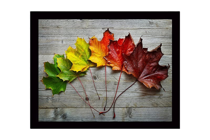 Innrammet lerretsbilde i tre - 41x56 cm - Fargerike høstblader på rad - Grønn / Gul / Rød - Innredning - Bilder & kunst