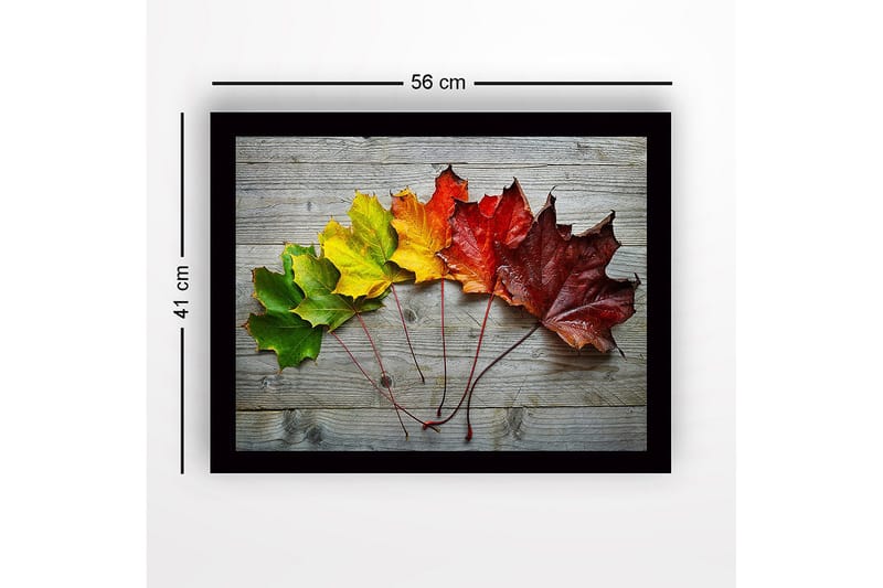 Innrammet lerretsbilde i tre - 41x56 cm - Fargerike høstblader på rad - Grønn / Gul / Rød - Innredning - Bilder & kunst