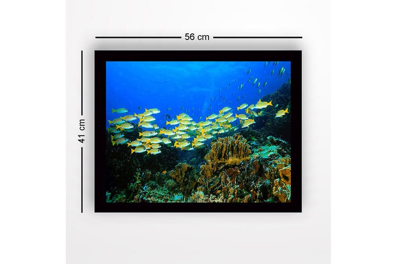 Innrammet lerretsbilde i tre - 41x56 cm - Flok med fargerike fisker som svømmer i et korallrev - Blå / Gul / Grønn - Innredning - Bilder & kunst