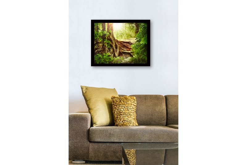 Innrammet lerretsbilde i tre - 41x56 cm - Frodig skog med en stor trerot og solstråler som siver gjennom løvverket - Grønn / Brun / Gul - Innredning - Bilder & kunst