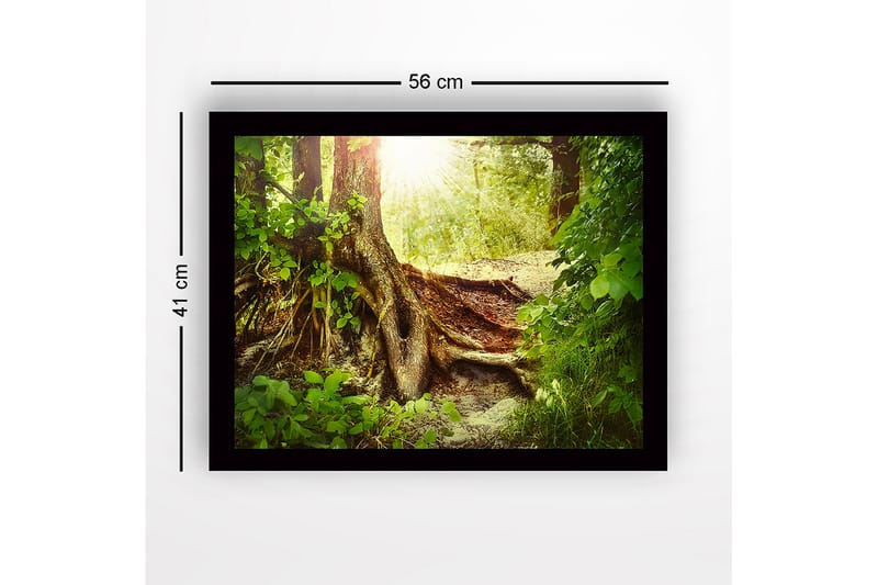 Innrammet lerretsbilde i tre - 41x56 cm - Frodig skog med en stor trerot og solstråler som siver gjennom løvverket - Grønn / Brun / Gul - Innredning - Bilder & kunst
