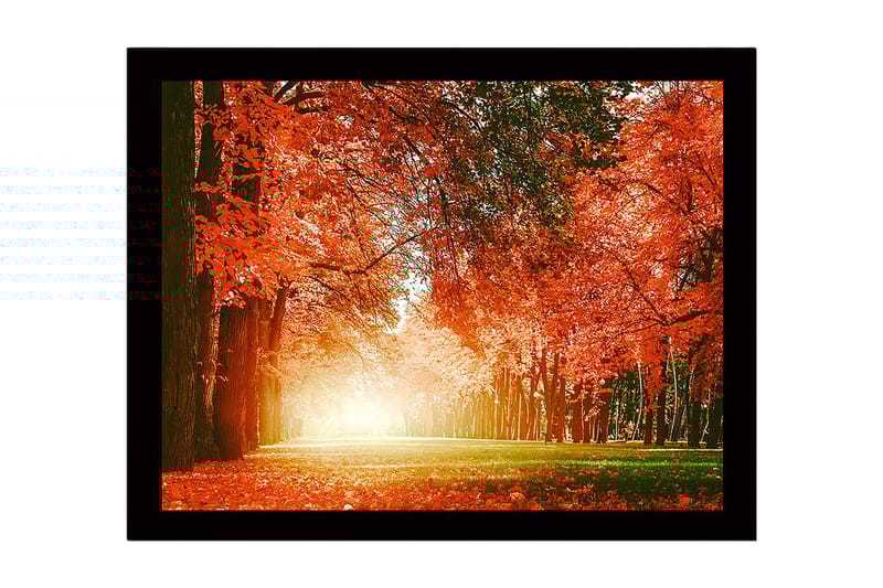 Innrammet lerretsbilde i tre - 41x56 cm - Frodig skog med livlige høstfarger - Oransje / Grønn - Innredning - Bilder & kunst