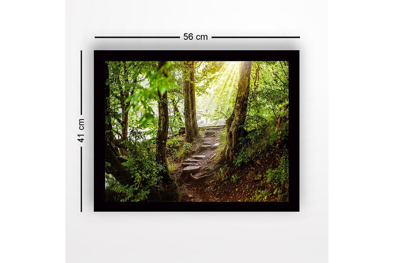 Innrammet lerretsbilde i tre - 41x56 cm - Frodig skogssti med solstråler som siver gjennom trærne - Grønn / Brun - Innredning - Bilder & kunst