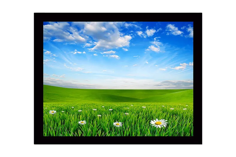 Innrammet lerretsbilde i tre - 41x56 cm - Grønn eng med hvite tusenfryd under en klar blå himmel - Grønn / Blå / Hvit - Innredning - Bilder & kunst