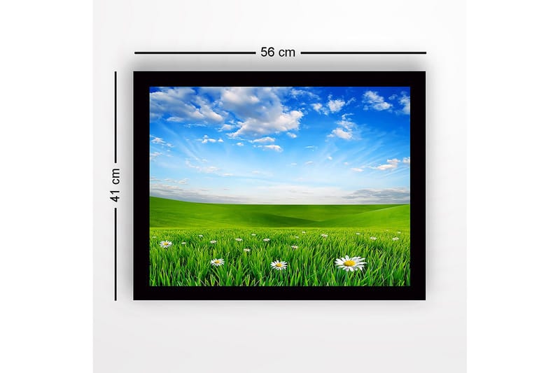 Innrammet lerretsbilde i tre - 41x56 cm - Grønn eng med hvite tusenfryd under en klar blå himmel - Grønn / Blå / Hvit - Innredning - Bilder & kunst