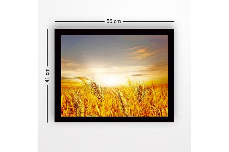 Innrammet lerretsbilde i tre - 41x56 cm - Gyldne hveteåkre under soloppgang - Gull / Oransje / Lyseblå - Innredning - Bilder & kunst