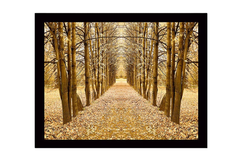 Innrammet lerretsbilde i tre - 41x56 cm - Gyllen allé med trær i høstfarger, Gull / Brun / Beige