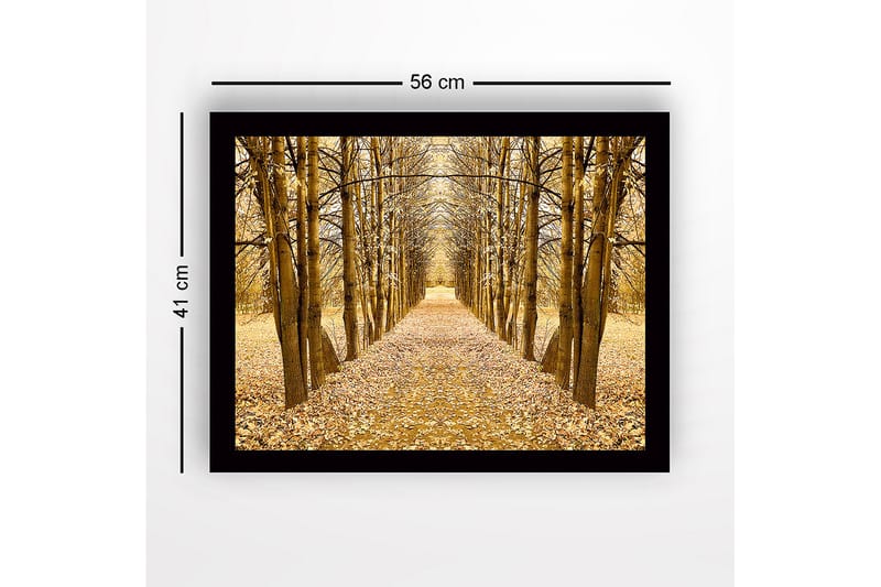 Innrammet lerretsbilde i tre - 41x56 cm - Gyllen allé med trær i høstfarger - Gull / Brun / Beige - Innredning - Bilder & kunst