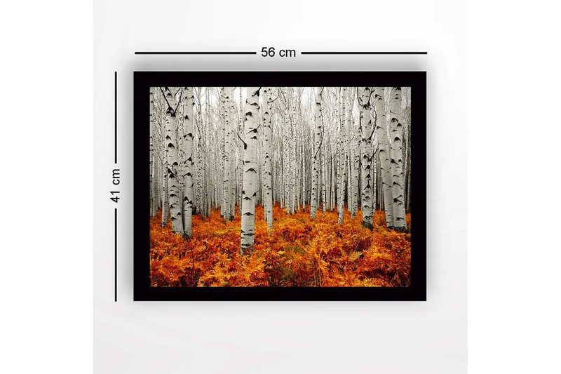 Innrammet lerretsbilde i tre - 41x56 cm - Høstskog med bjørker og gyldne bregner - Hvit / Oransje - Innredning - Bilder & kunst