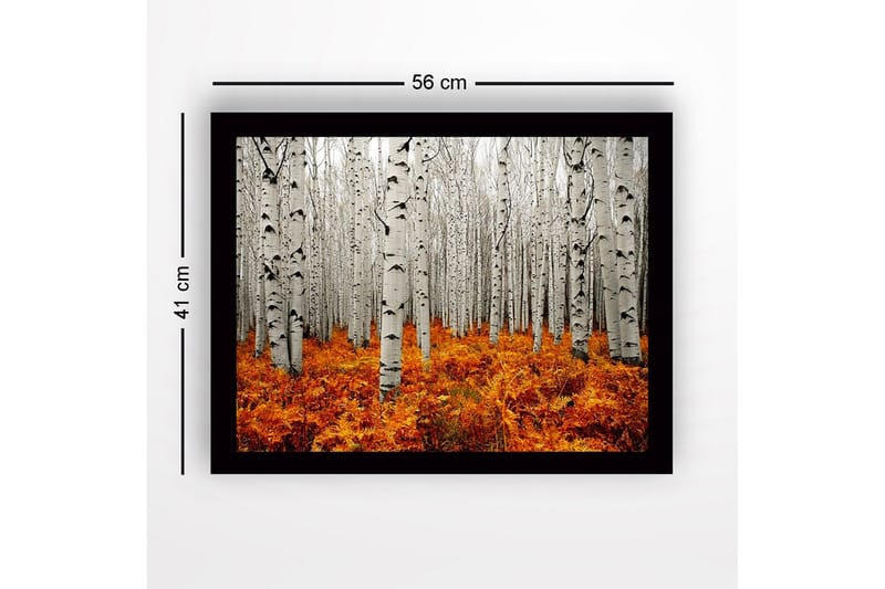 Innrammet lerretsbilde i tre - 41x56 cm - Høstskog med bjørker og gyldne bregner - Hvit / Oransje - Innredning - Bilder & kunst