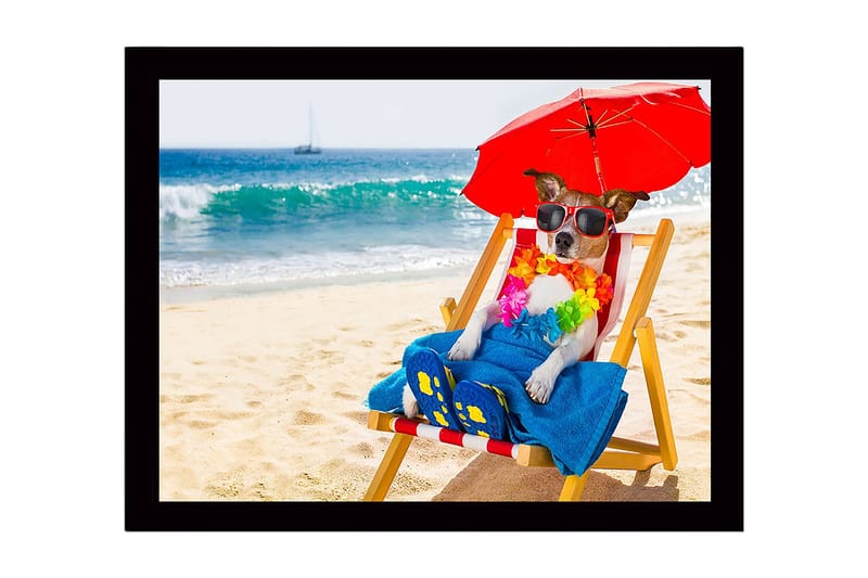 Innrammet lerretsbilde i tre - 41x56 cm - Hund slapper av på stranden i en solstol med solbriller og parasoll - Rød / Blå / Gul - Innredning - Bilder & kunst