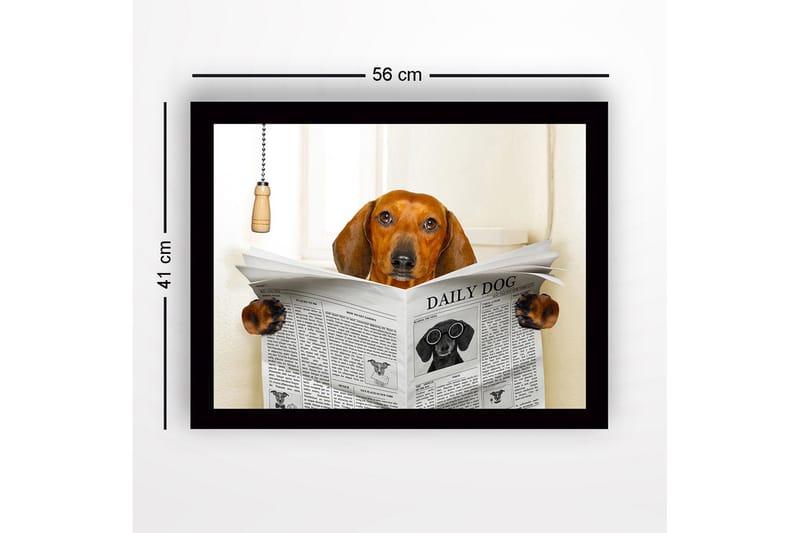 Innrammet lerretsbilde i tre - 41x56 cm - Hund som leser avisen DAILY DOG - Brun / Svart / Hvit - Innredning - Bilder & kunst