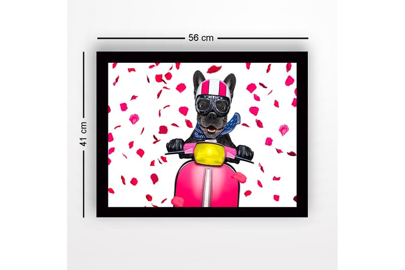 Innrammet lerretsbilde i tre - 41x56 cm - Hund på sparkesykkel med rosebladsløyfe - Rosa / Svart / Gul - Innredning - Bilder & kunst