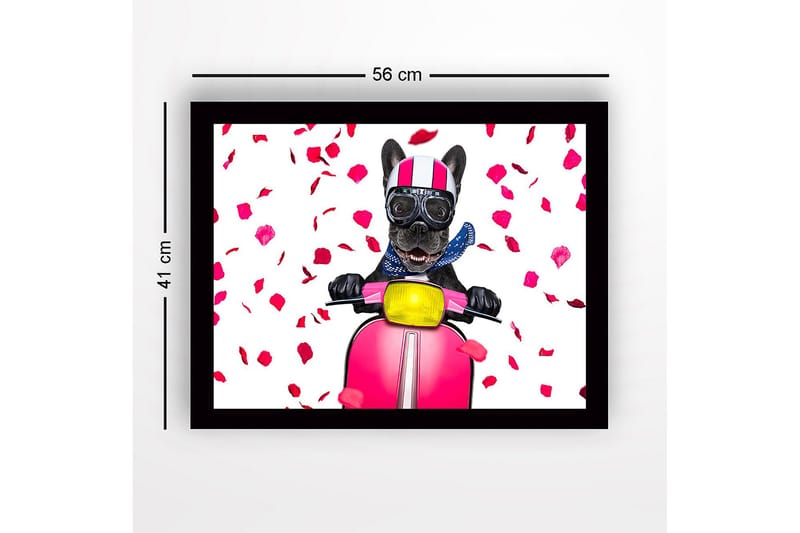 Innrammet lerretsbilde i tre - 41x56 cm - Hund på sparkesykkel med rosebladsløyfe - Rosa / Svart / Gul - Innredning - Bilder & kunst