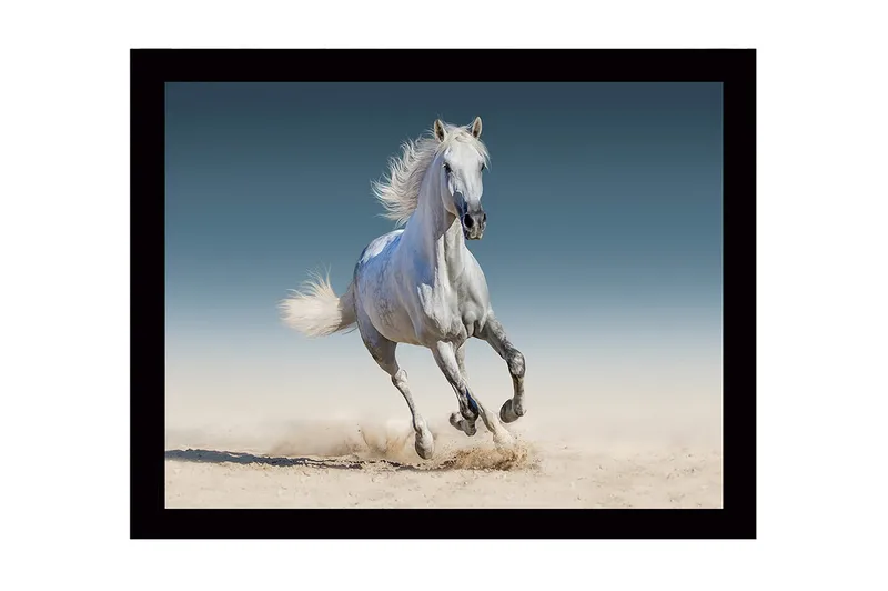 Innrammet lerretsbilde i tre - 41x56 cm - Hvit hest galopperer gjennom sanden - Hvit / Beige / Blå - Innredning - Bilder & kunst
