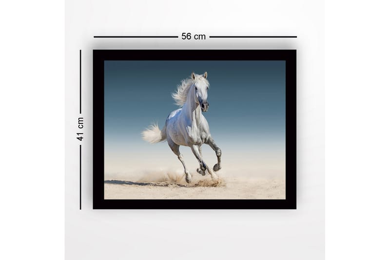 Innrammet lerretsbilde i tre - 41x56 cm - Hvit hest galopperer gjennom sanden - Hvit / Beige / Blå - Innredning - Bilder & kunst