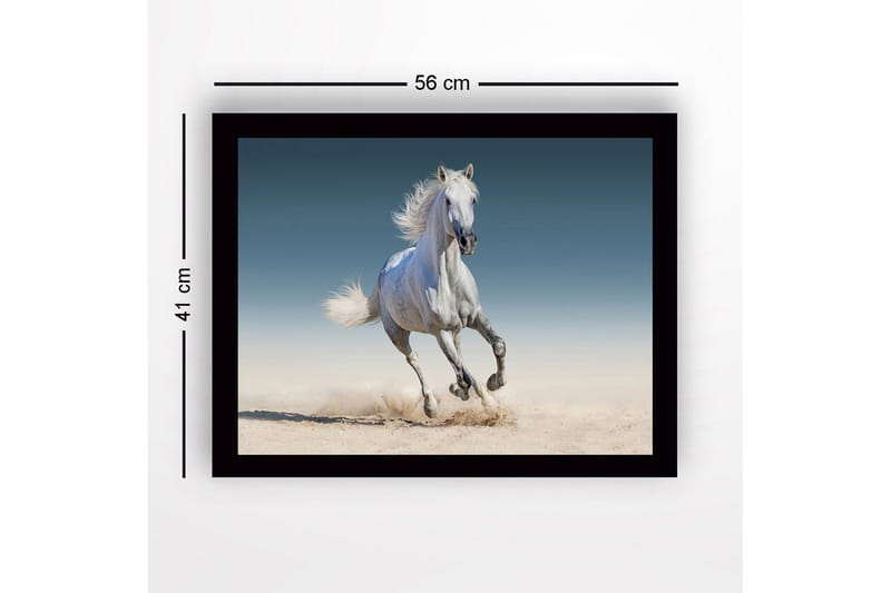 Innrammet lerretsbilde i tre - 41x56 cm - Hvit hest galopperer gjennom sanden - Hvit / Beige / Blå - Innredning - Bilder & kunst
