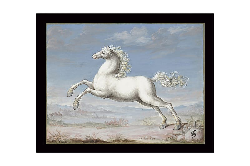 Innrammet lerretsbilde i tre - 41x56 cm - Hvit hest galopperer mot en blå himmel - Hvit / Blå / Beige - Innredning - Bilder & kunst