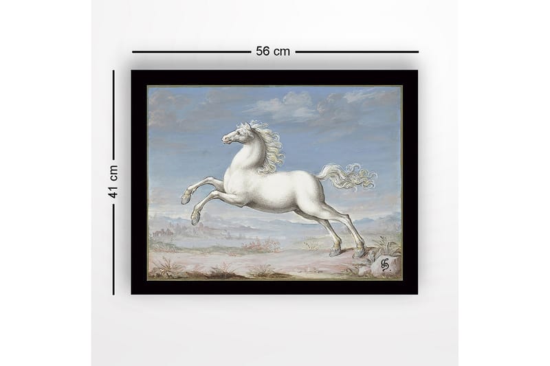 Innrammet lerretsbilde i tre - 41x56 cm - Hvit hest galopperer mot en blå himmel - Hvit / Blå / Beige - Innredning - Bilder & kunst
