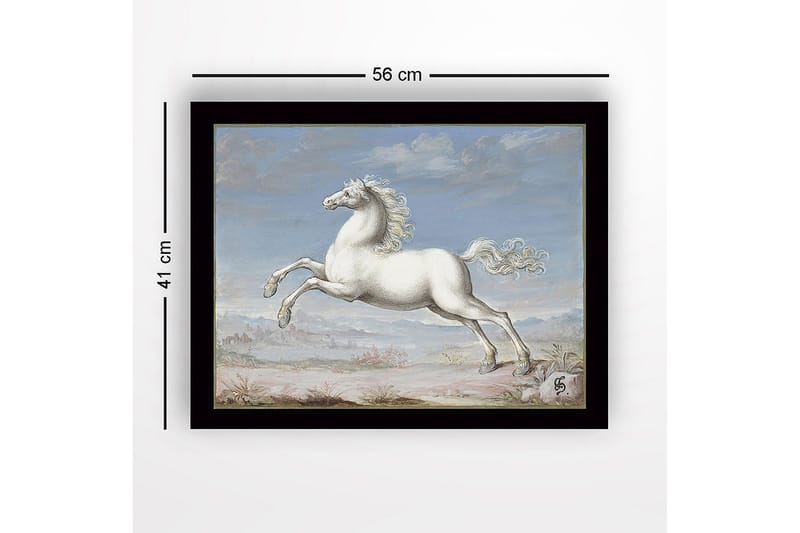 Innrammet lerretsbilde i tre - 41x56 cm - Hvit hest galopperer mot en blå himmel - Hvit / Blå / Beige - Innredning - Bilder & kunst