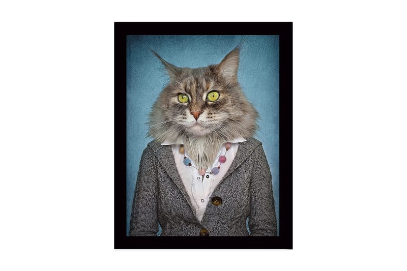 Innrammet lerretsbilde i tre - 41x56 cm - Katt med menneskeklær og uttrykksfulle ansiktstrekk, Grå / Blå / Gul