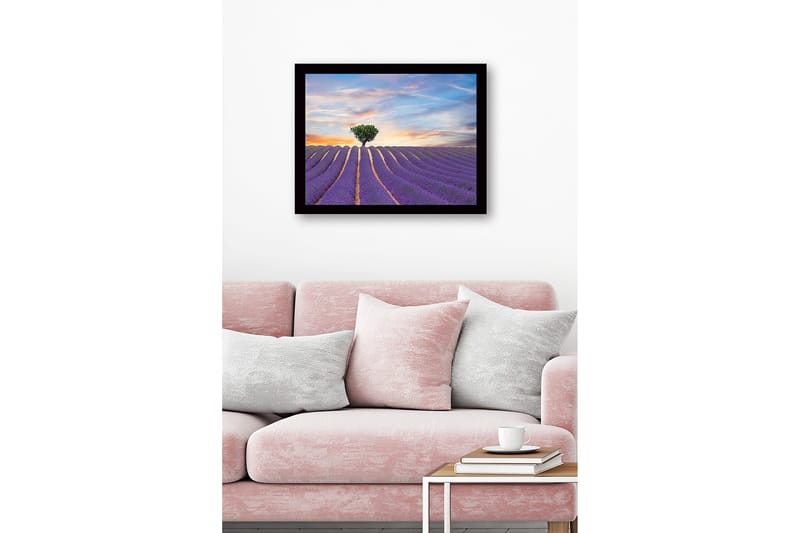 Innrammet lerretsbilde i tre - 41x56 cm - Lavendelfelt med en ensom trekrone i horisonten - Lilla / Grønn / Beige - Innredning - Bilder & kunst