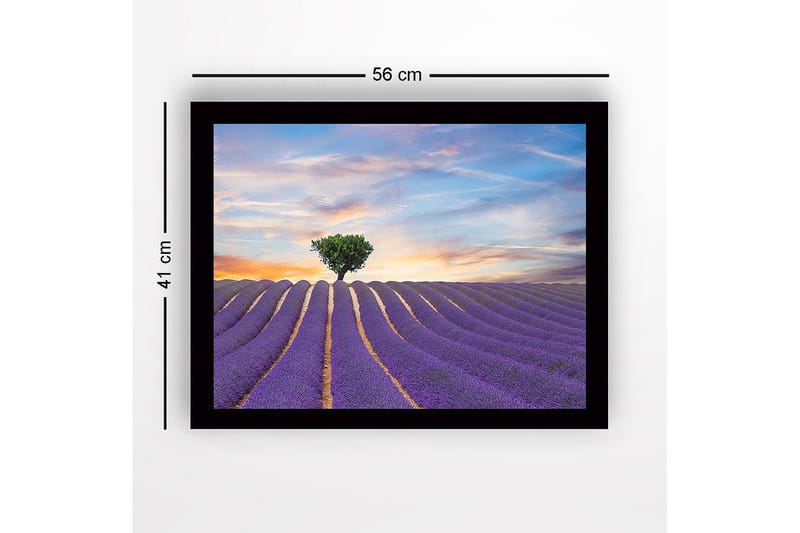 Innrammet lerretsbilde i tre - 41x56 cm - Lavendelfelt med en ensom trekrone i horisonten - Lilla / Grønn / Beige - Innredning - Bilder & kunst