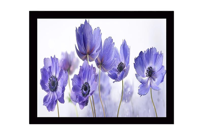 Innrammet lerretsbilde i tre - 41x56 cm - Lilla blomster i en harmonisk komposisjon - Lilla / Svart / Hvit - Innredning - Bilder & kunst