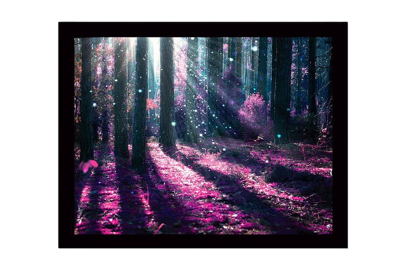 Innrammet lerretsbilde i tre - 41x56 cm - Mystisk skog med lilla og blå lysstråler - Lilla / Blå - Innredning - Bilder & kunst